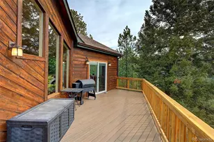 114 Star Ln, Bailey, CO 80421 - Photo 26