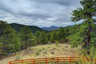 114 Star Ln, Bailey, CO 80421 - Photo 24