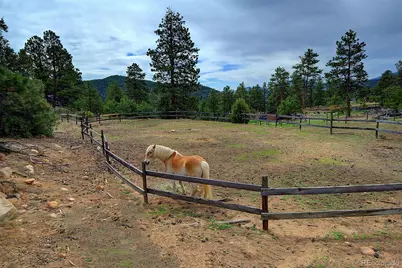 114 Star Lane, Bailey, CO 80421 - Photo 6
