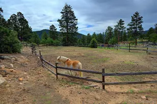 114 Star Ln, Bailey, CO 80421 - Photo 6