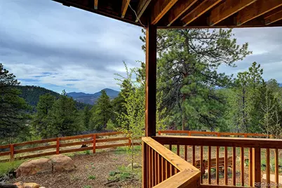 114 Star Lane, Bailey, CO 80421 - Photo 32