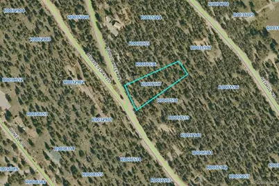 806 Middle Fork Vista, Fairplay, CO 80440 - Photo 10