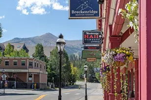 189 Ginger Quill Ln, Breckenridge, CO 80424 - Photo 46