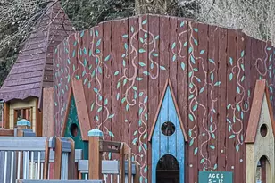 401 Rose St, Georgetown, CO 80444 - Photo 6