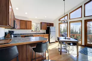 50 Puma Crossing, Fairplay, CO 80440 - Photo 20