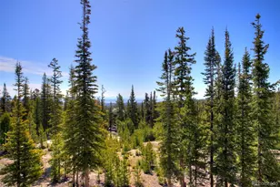 50 Puma Crossing, Fairplay, CO 80440 - Photo 16