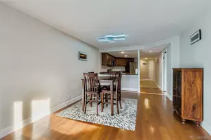 100 Park Ave Ave W #, Denver, CO 80205 - Photo 4