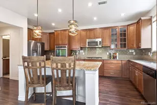 9588 Firenze Way, Highlands Ranch, CO 80126 - Photo 4