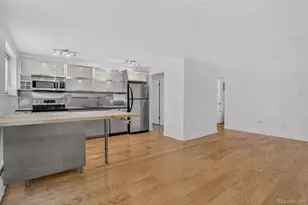 75 N Emerson Street, Denver, CO 80218 - Photo 12