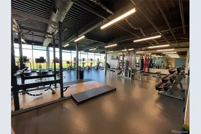 3303 Carabiner Street, Castle Rock, CO 80108 - Photo 48