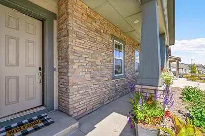 3303 Carabiner Street, Castle Rock, CO 80108 - Photo 4