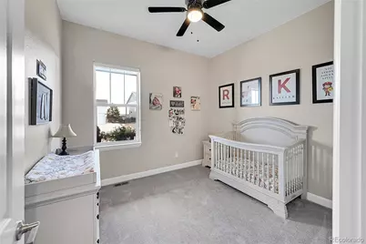 3303 Carabiner Street, Castle Rock, CO 80108 - Photo 20