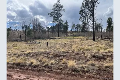 Lot 686 Cogbill Drive, Fort Garland, CO 81133 - Photo 2