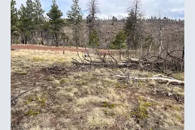 Lot 686 Cogbill Drive, Fort Garland, CO 81133 - Photo 18