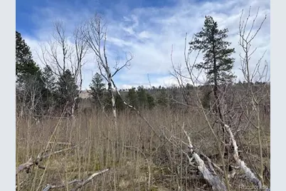 Lot 686 Cogbill Drive, Fort Garland, CO 81133 - Photo 16