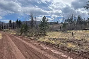 Lot 686 Cogbill Dr, Fort Garland, CO 81133 - Photo 1
