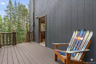 388 Sawmill Ln, Idaho Springs, CO 80452 - Photo 20