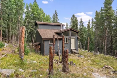 388 Saw Mill Lane, Idaho Springs, CO 80452 - Photo 2