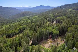 388 Sawmill Ln, Idaho Springs, CO 80452 - Photo 24
