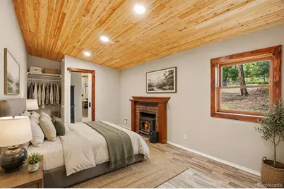14032 S Olive Avenue, Pine, CO 80470 - Photo 16
