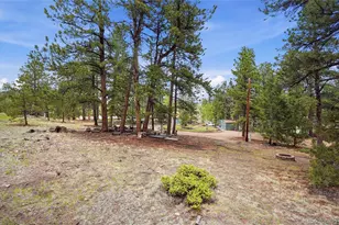 14032 S Olive Ave, Pine, CO 80470 - Photo 32