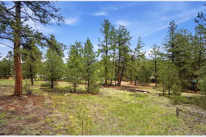 14032 S Olive Avenue, Pine, CO 80470 - Photo 36