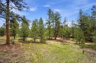 14032 S Olive Ave, Pine, CO 80470 - Photo 36