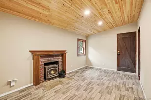 14032 S Olive Ave, Pine, CO 80470 - Photo 20