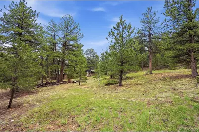 14032 S Olive Avenue, Pine, CO 80470 - Photo 34