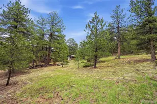 14032 S Olive Ave, Pine, CO 80470 - Photo 34