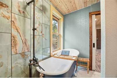 14032 S Olive Avenue, Pine, CO 80470 - Photo 12