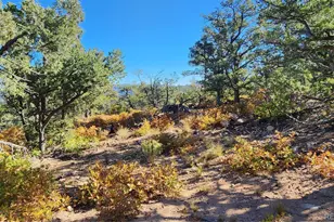 Tbd L 42nd Trail, Cotopaxi, CO 81223 - Photo 1