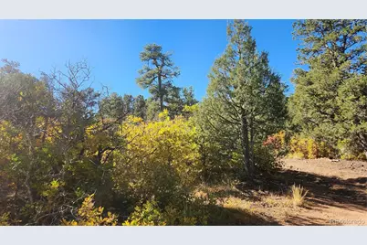 Tbd L 42nd Trail, Cotopaxi, CO 81223 - Photo 16