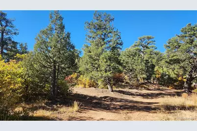 Tbd L 42nd Trail, Cotopaxi, CO 81223 - Photo 10