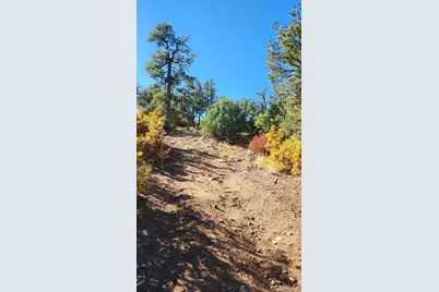 Tbd L 42nd Trail, Cotopaxi, CO 81223 - Photo 4