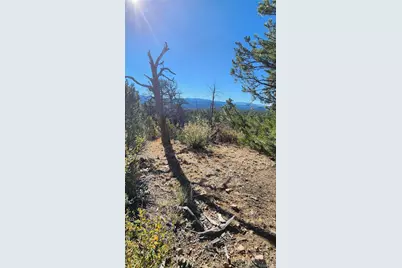 Tbd L 42nd Trail, Cotopaxi, CO 81223 - Photo 18