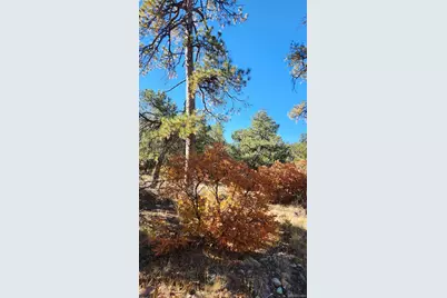 Tbd L 42nd Trail, Cotopaxi, CO 81223 - Photo 20