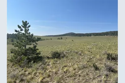 11414 Ranch Road, Hartsel, CO 80449 - Photo 4