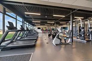 3236 Offbeaten Pl, Castle Rock, CO 80108 - Photo 48