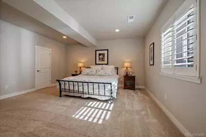 3236 Offbeaten Place, Castle Rock, CO 80108 - Photo 30