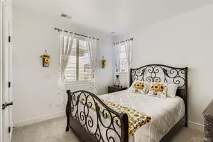 16576 Black Rose Cir, Parker, CO 80134 - Photo 24