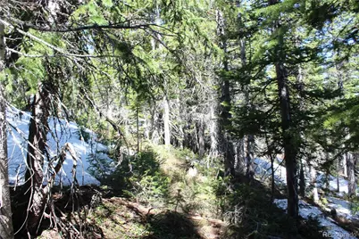 19420 Kingston Peak Road, Black Hawk, CO 80422 - Photo 12