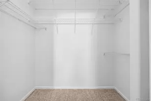 1153 S Alton St, Denver, CO 80247 - Photo 18