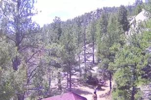 15751 S Elk Creek Road S, Pine, CO 80470 - Photo 24