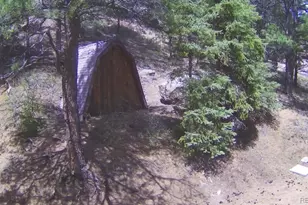 15751 S Elk Creek Road S, Pine, CO 80470 - Photo 32