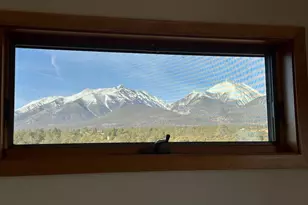 12880 County Rd 261B, Nathrop, CO 81236 - Photo 16