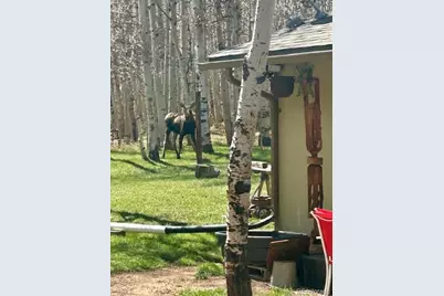 1746 Lump Gulch Road, Black Hawk, CO 80422 - Photo 32