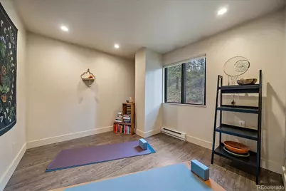 12564 S Lora Avenue, Pine, CO 80470 - Photo 12