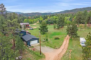 12564 S Lora Ave, Pine, CO 80470 - Photo 24