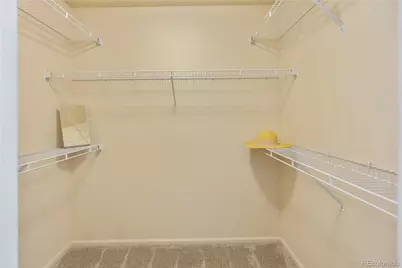 1246 Laurenwood Way, Highlands Ranch, CO 80129 - Photo 26